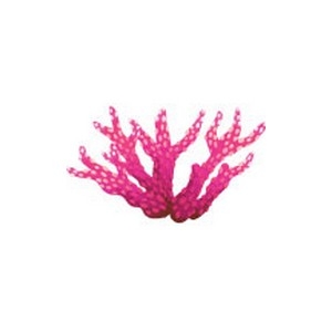 Realistic Coral 35